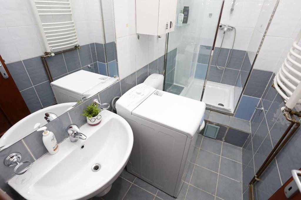 Appartement 1 Bdrm In Center
