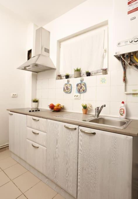 Appartement 1 Bdrm In Center Bucarest